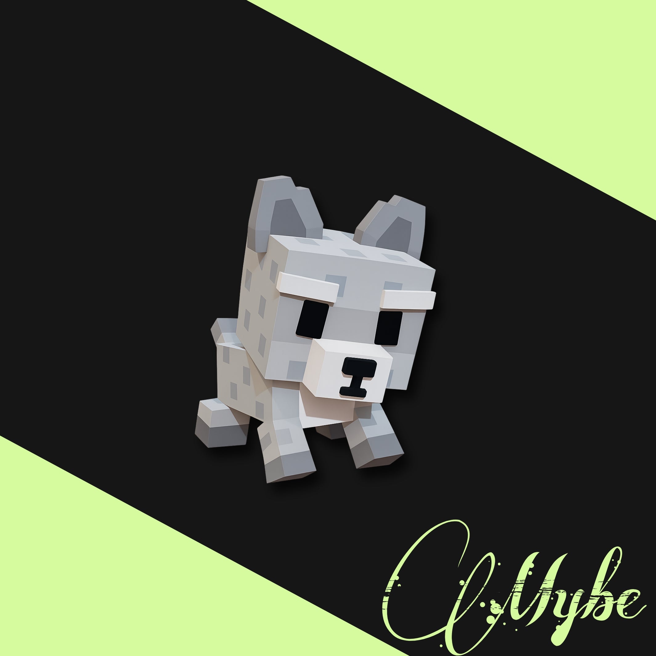 Raccoon